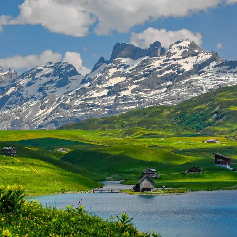 alpes-suizos